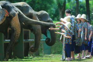 Mae Taeng Travel Tips Guide: Cultural Insights, Costs & Eco-Tours